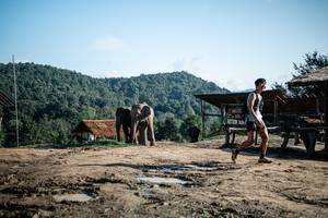 BIB: 
                            <button type="button" onclick="openModal(22422891)" class="btn btn-primary btn-sm float-right btn-popup" data-toggle="modal" data-target=".modal-high-quality">
                        <i class="fas fa-shopping-cart"></i> Add to Cart
                    </button>
                                            <button type="button" onclick="isThisMe(22422891, true)" class="btn btn-success btn-sm float-right btn-popup btn-isme hidden" data-toggle="tooltip" data-placement="bottom" title="นี่คือรูปของคุณใช่ไหม คลิกที่นี่เพื่อเอาเข้าอัลบั้ม">
                        <i class="fas fa-plus"></i> Add to album
                    </button>
                    <button type="button" onclick="isThisMe(22422891, false)" class="btn btn-warning btn-sm float-right btn-popup btn-isnotme hidden">
                        <i class="fas fa-ban"></i> Remove from album
                    </button>